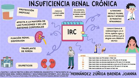 Insuficiencia Renal Cr Nica Hern Ndez Brenda Udocz