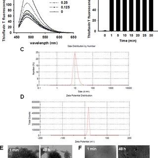 Ep Self Assembles Into Amyloid Fibrils A Different Concentrations