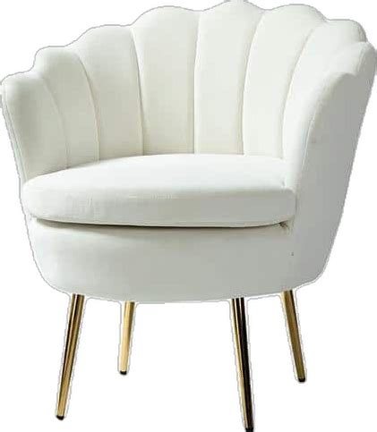 Jayden Creation Fidelia Golden Legs Ivory Tufted Barrel Chair With