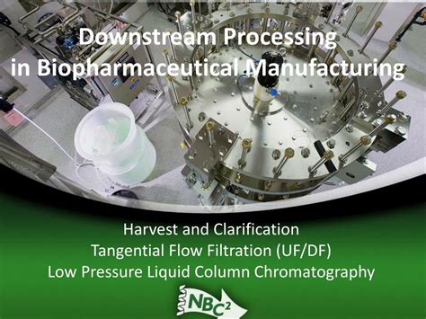 Ppt Downstream Processing In Biopharmaceutical Manufacturing