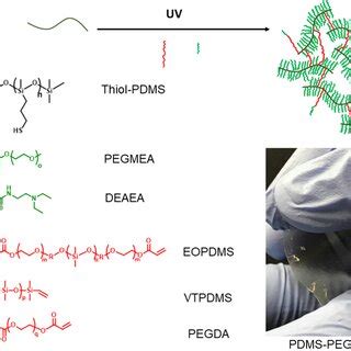 Scheme 1. Synthesis of PDMS Elastomer Membranes via Thiol−ene Click ...