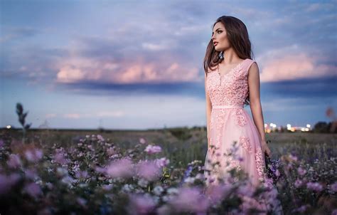 Wallpaper Field The Sky Girl Flowers Pose Mood Dress Beautiful