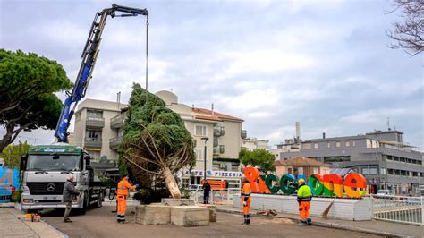 L Abete Rosso Del Pratomagno A Riccione Sar L Albero Di Natale Del