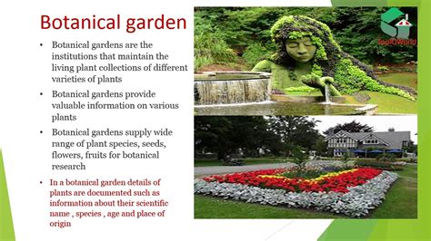 Botanical Garden Youtube