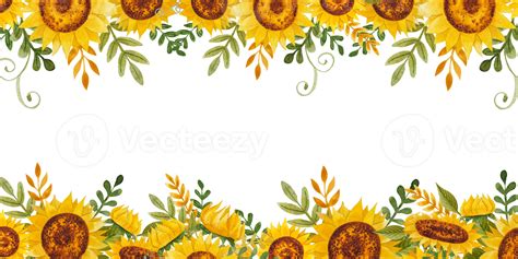 Watercolor Sunflowers Frame 11660727 PNG