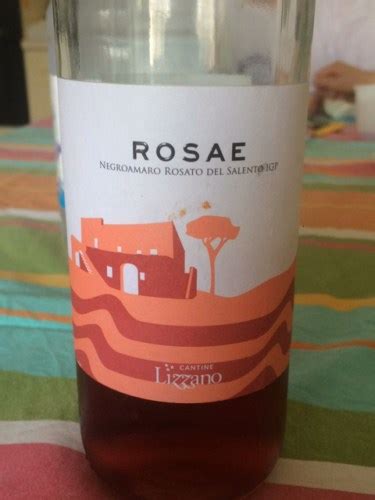 Cantine Lizzano Rosae Negroamaro Rosato Del Salento Vivino US