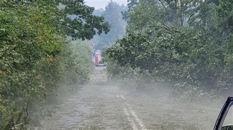 Nawa Nice Na Mazowszu Powalone Drzewa I Zalane Posesje Polsatnews Pl