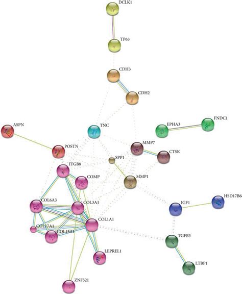 Protein Protein Interaction Network Of Degs Acquired From String 9 1