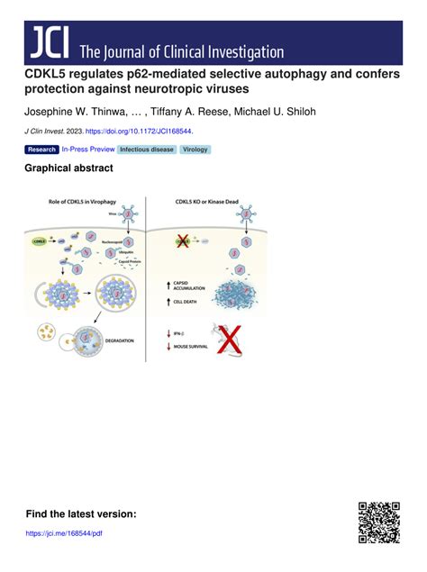 Pdf Cdkl Regulates P Mediated Selective Autophagy And Confers