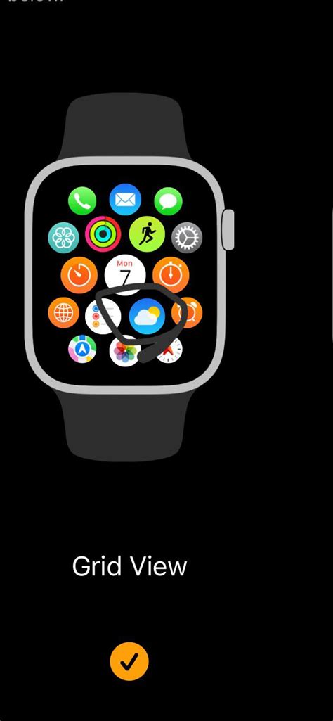 Found an untouched icon in Apple Watch settings on iPhone : r/AppleWatch