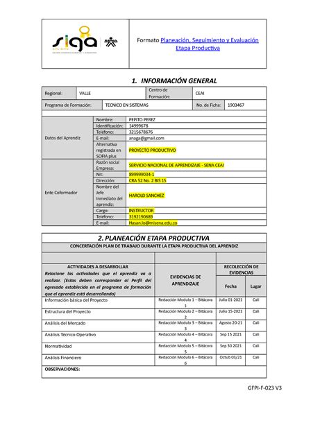 2 Gfpi F 023 Formato Planeacin Seguimiento Y Evaluacin Etapa Hot Sex