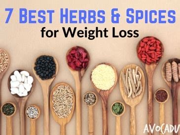 Best Herbs And Spices For Weight Loss Avocadu