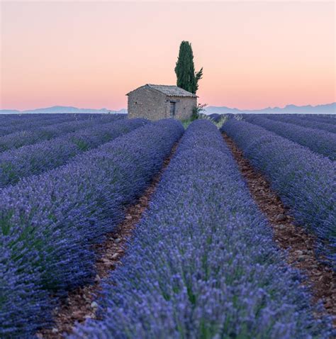 Best Provence Tours Trips Tourradar