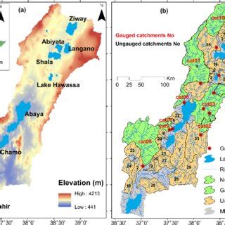 The Ethiopian Rift Valley Lakes Basin showing (a) elevation and lakes ...