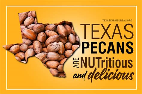 Nut Ritious And Delicious Texas Pecans Texas Farm Bureau Table Top