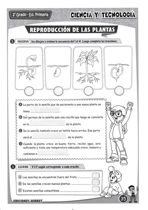 Cuaderno De Ciencia Y Tecnolog A Grado Primaria Ii Parte