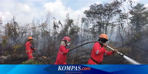 Hektar Lahan Gambut Di Banyuasin Sumsel Terbakar