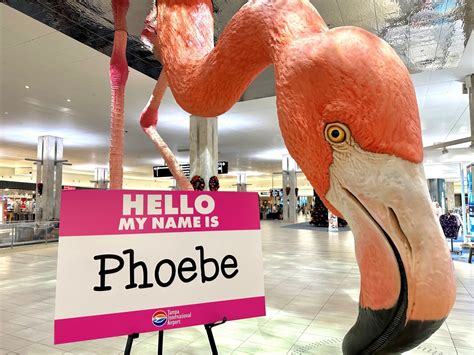 Tampa International Airport’s giant flamingo now has a name | WUSF ...