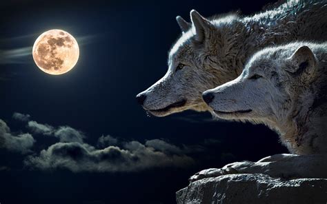 🔥 [40+] Wolf Full Moon Wallpapers | WallpaperSafari