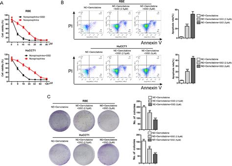 Figure From Saikosaponin D Reverses Epinephrine And Norepinephrine