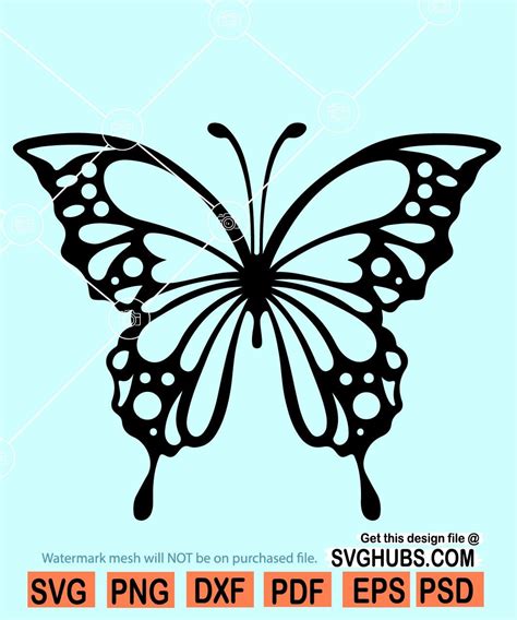 Free Butterfly Svg Cut File