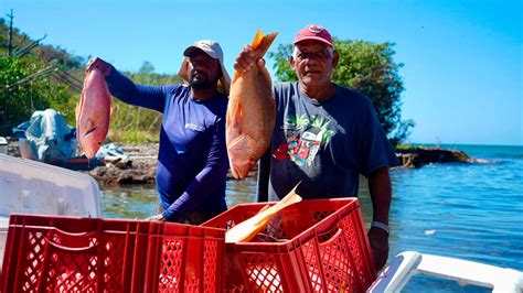 21 Mil Millones Para Fortalecer La Pesca Artesanal Sostenible En