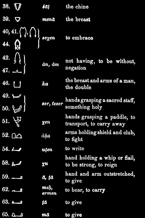 Famous Pharaohs 4 Hieroglyphic Signs Members Of The Body