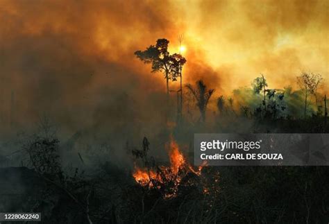 Amazon Rainforest Fire Photos and Premium High Res Pictures - Getty Images