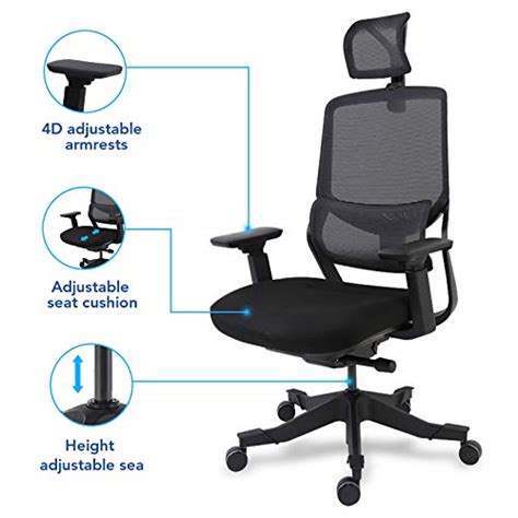 Flexispot Ergonomic Office Chair Mesh Chair 3d Lumbar Support Desk Chair Headrest 4d Armrest