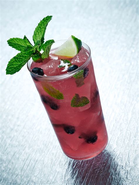 Blueberry Mojito Recipe