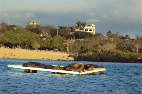 THE 10 BEST Hotels in Galapagos Islands for 2022 (from $34) - Tripadvisor