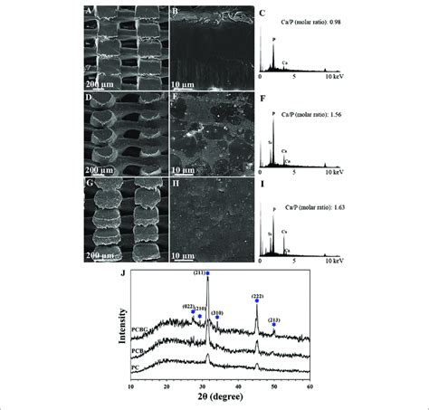 FE SEM Micrographs A B D E G And H EDX Spectra C