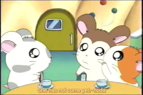 Tottoko Hamtarou Episode 156 English Subbed Watch Cartoons Online