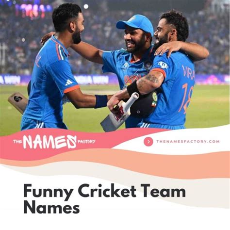 Top Cricket Team Names For Your Squad