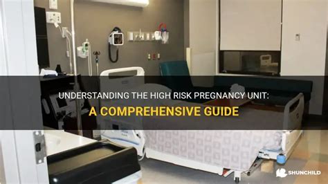 Understanding The High Risk Pregnancy Unit A Comprehensive Guide