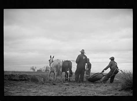 Six Vintage Pictures of Farmers Planting - Modern Farmer