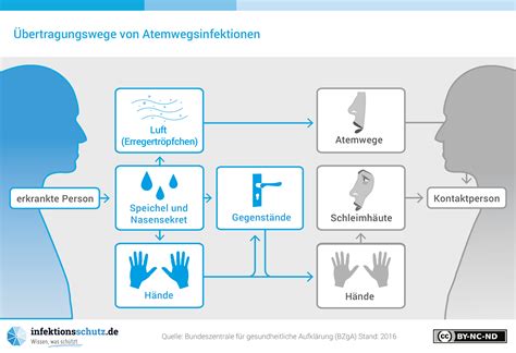 Magen Darm Infektionen Infektionsschutz De