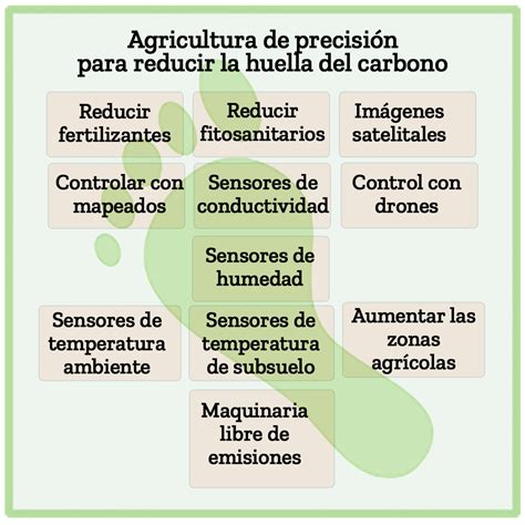 Como Se Calcula La Huella De Carbono