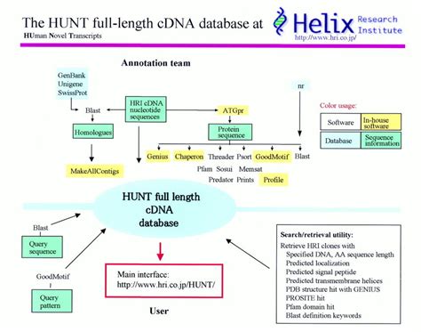 Overview Of The HUNT Full Length CDNA Database Programs And Databases