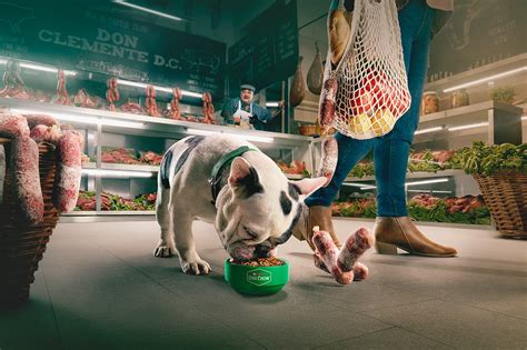 Purina - Dog Chow | Behance