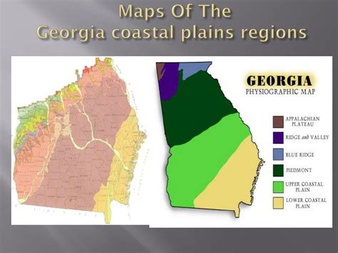 Ppt Georgia Coastal Plains Powerpoint Presentation Id 2224725