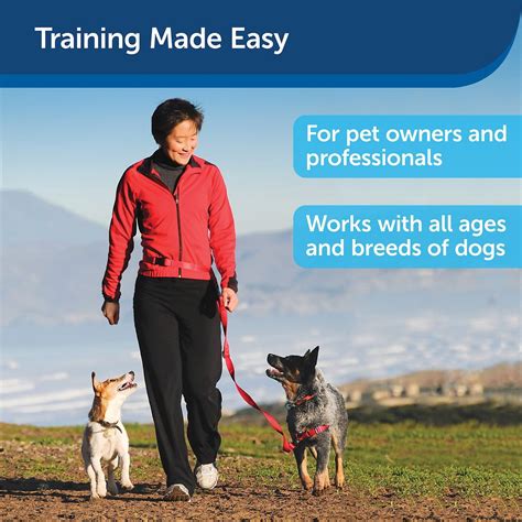 Petsafe Manners Minder Treat And Train Remote Reward Behavior Dog Trainer