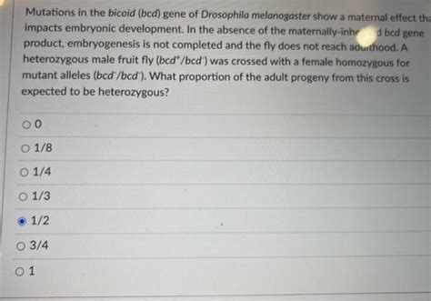 Solved Mutations in the bicoid (bcd) gene of Drosophila | Chegg.com