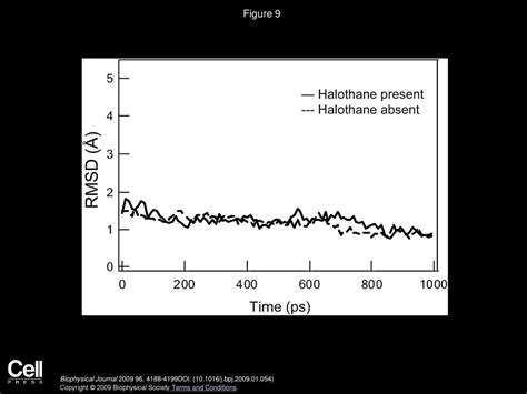 Mechanism Of Interaction Between The General Anesthetic Halothane And A