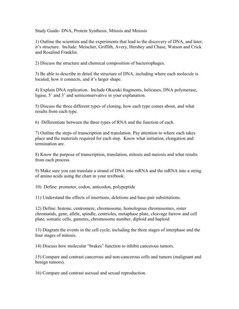 Study Guide DNA Protein Synthesis Mitosis