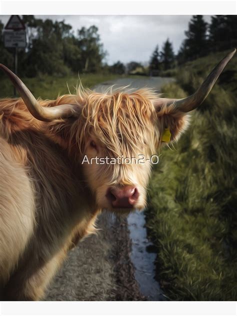 Scottish Highland Cow Oil Painting Drawing Adorable Fluffy Cow Gift