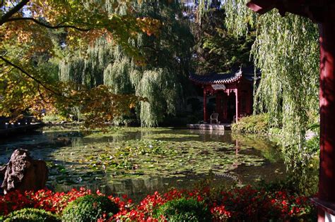 Hortus Botanicus Haren Groningen On Twitter 300 Rode Begonias In Het