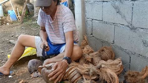 Naghanap Kami Ng Niyog Sa Bukid Magluluto Ng Biko C Kalingap Macau