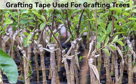 Grafting Tape 29mm Nursery Sealing Pvc Stretchable