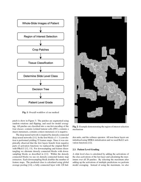 Automatic Breast Cancer Grading In Lymph Nodes Using A Deep Neural